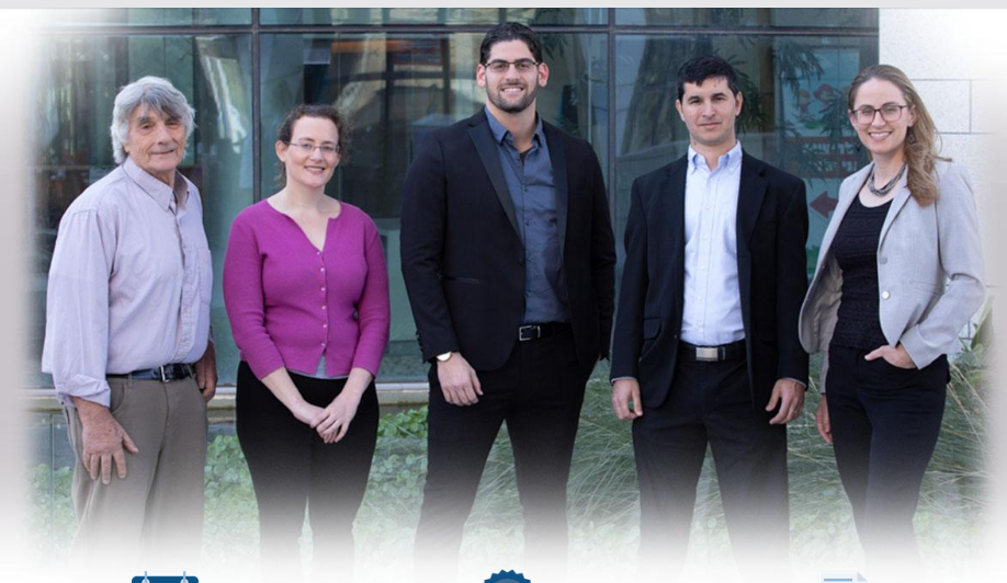 Professional translation team